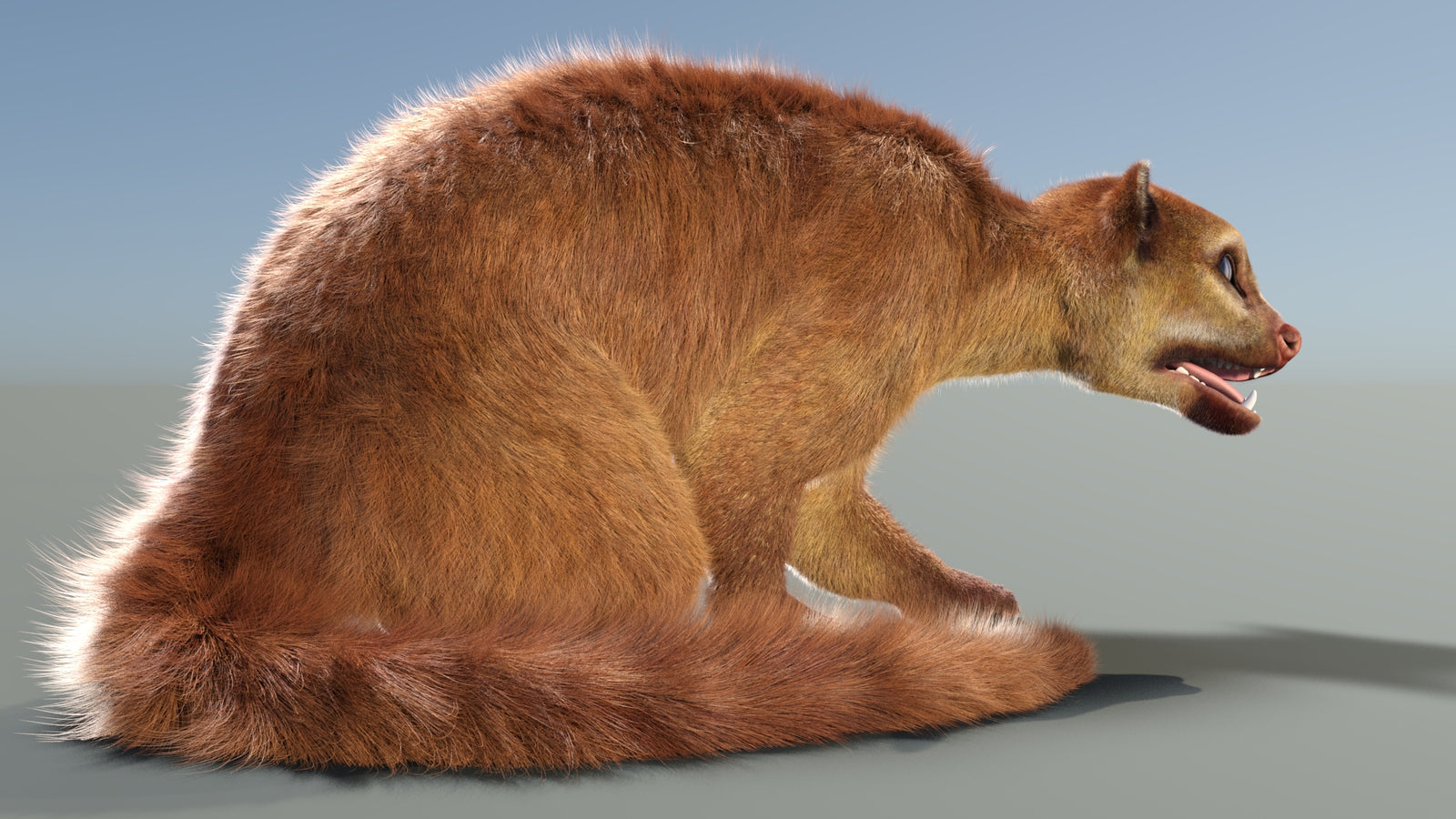Animated Kinkajou 3D Model Fur 360° view 2 frame 9