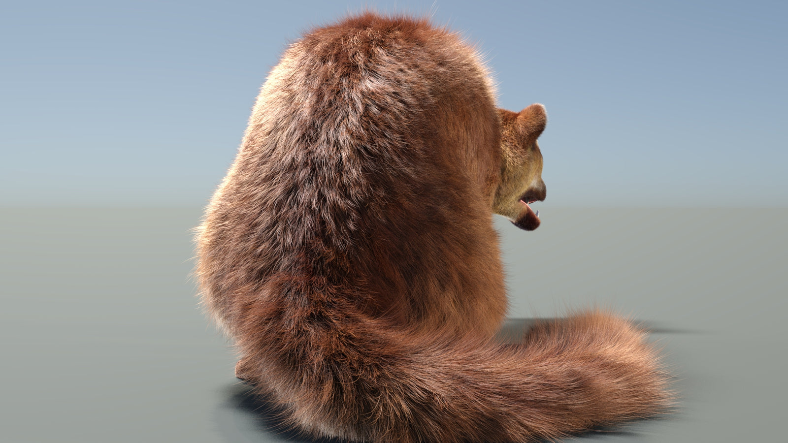 Animated Kinkajou 3D Model Fur 360° view 2 frame 14