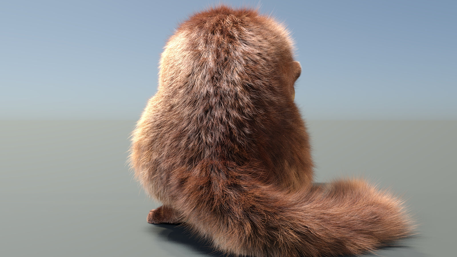 Animated Kinkajou 3D Model Fur 360° view 2 frame 15