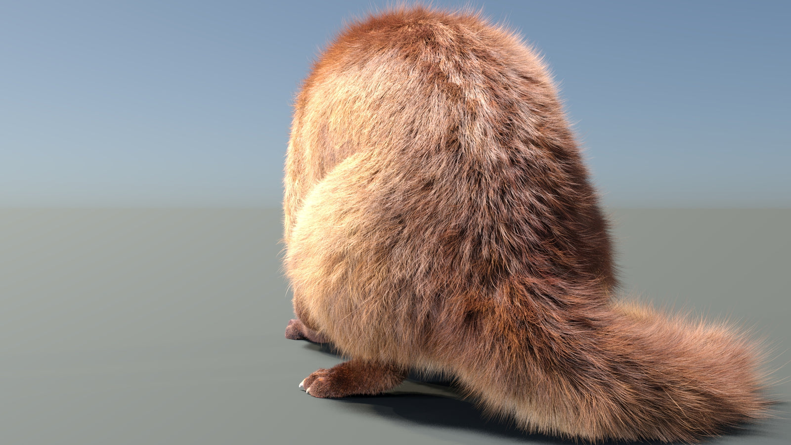 Animated Kinkajou 3D Model Fur 360° view 2 frame 17