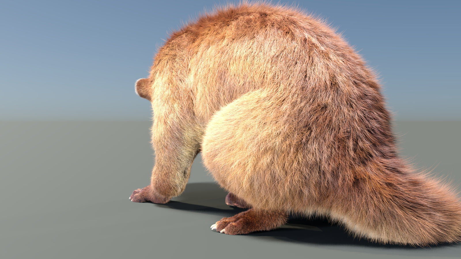 Animated Kinkajou 3D Model Fur 360° view 2 frame 19