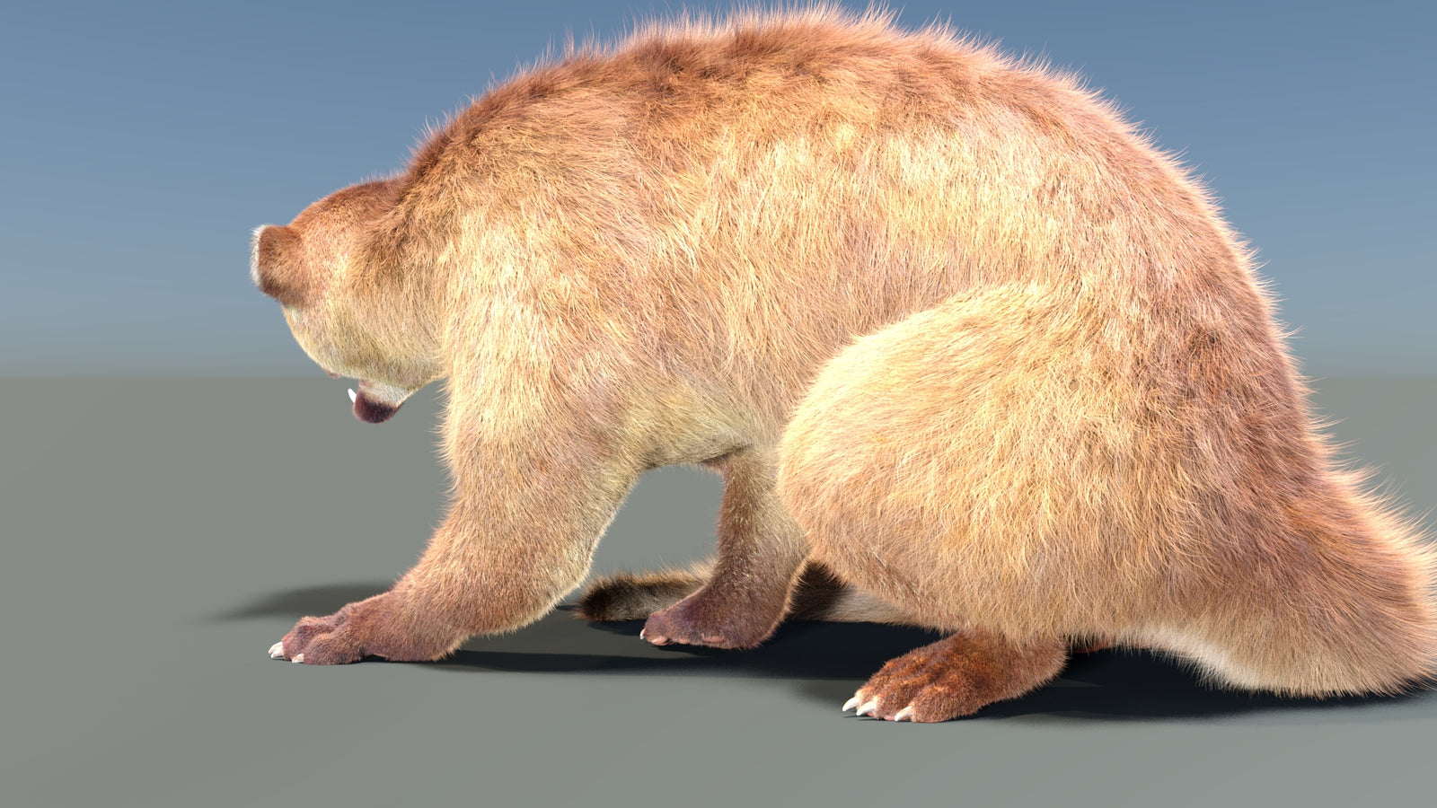 Animated Kinkajou 3D Model Fur 360° view 2 frame 22