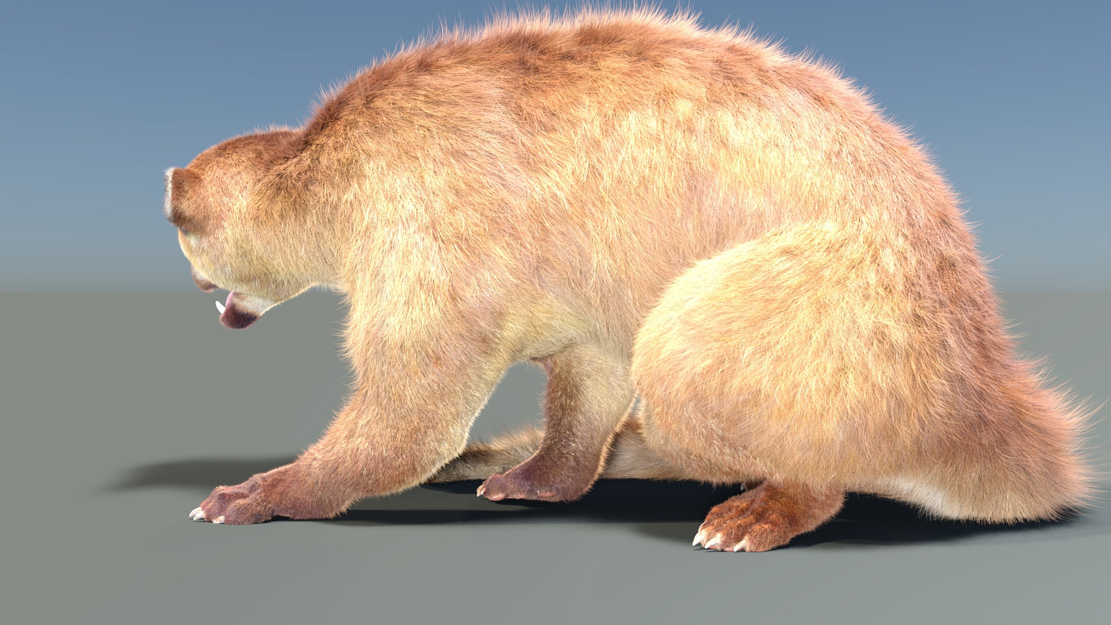 Animated Kinkajou 3D Model Fur 360° view 2 frame 23