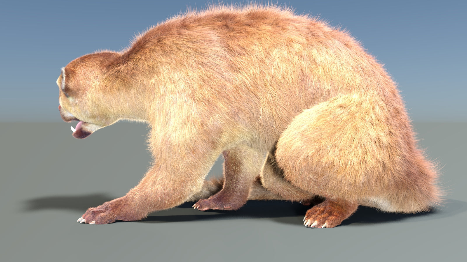 Animated Kinkajou 3D Model Fur 360° view 2 frame 24