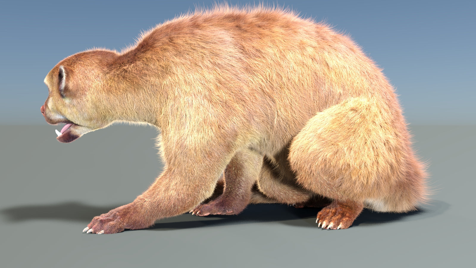 Animated Kinkajou 3D Model Fur 360° view 2 frame 25