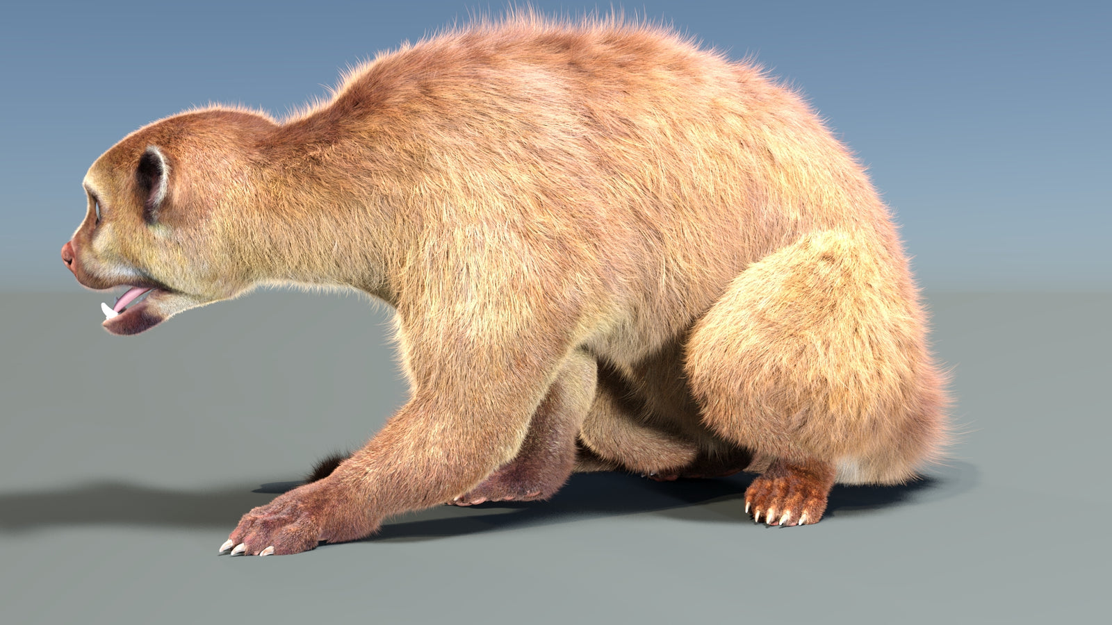 Animated Kinkajou 3D Model Fur 360° view 2 frame 26