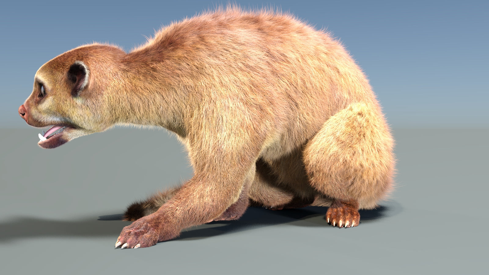 Animated Kinkajou 3D Model Fur 360° view 2 frame 27