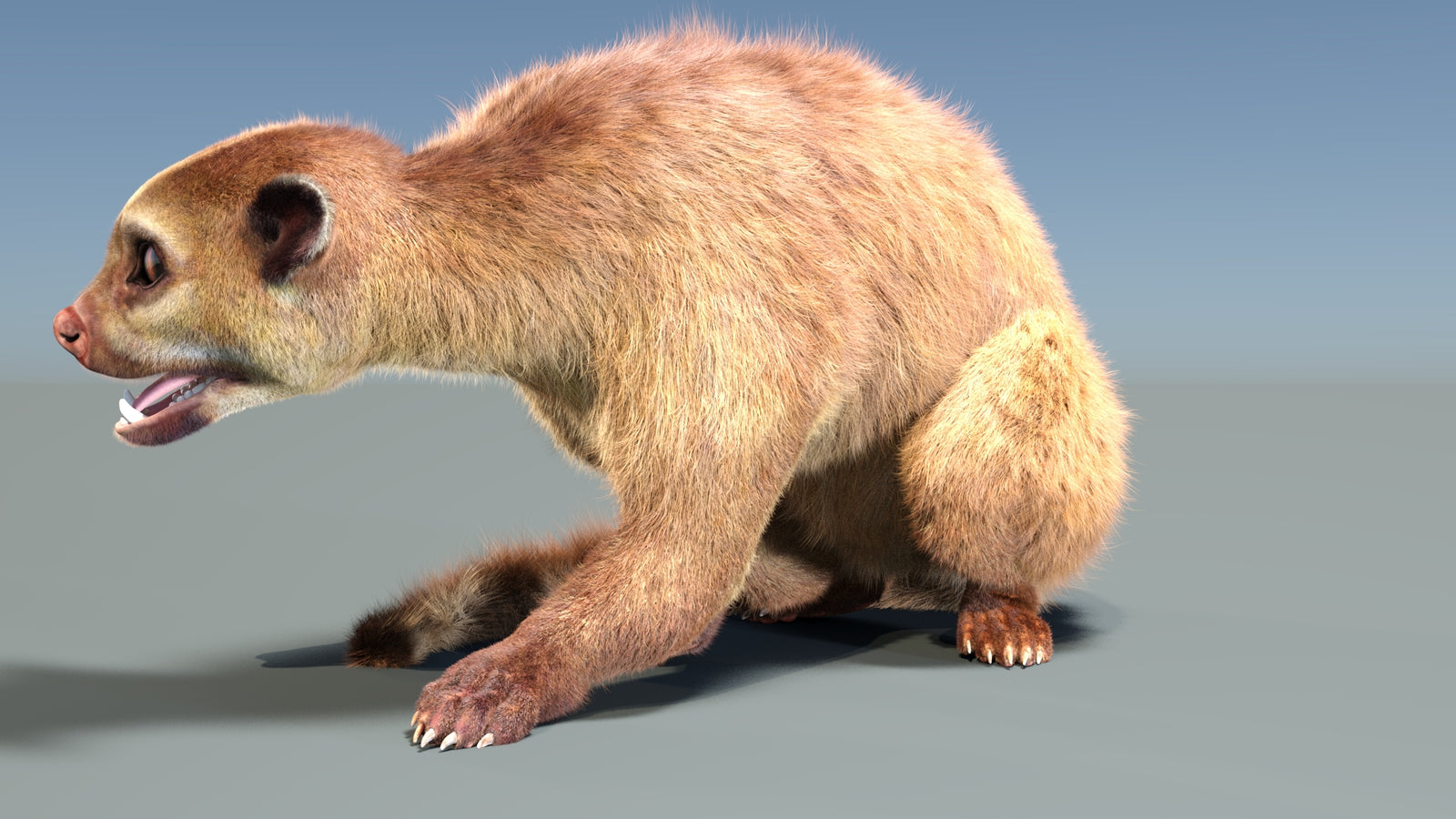 Animated Kinkajou 3D Model Fur 360° view 2 frame 28
