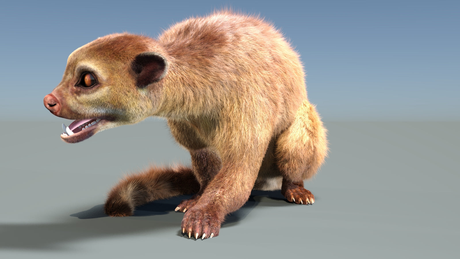 Animated Kinkajou 3D Model Fur 360° view 2 frame 30