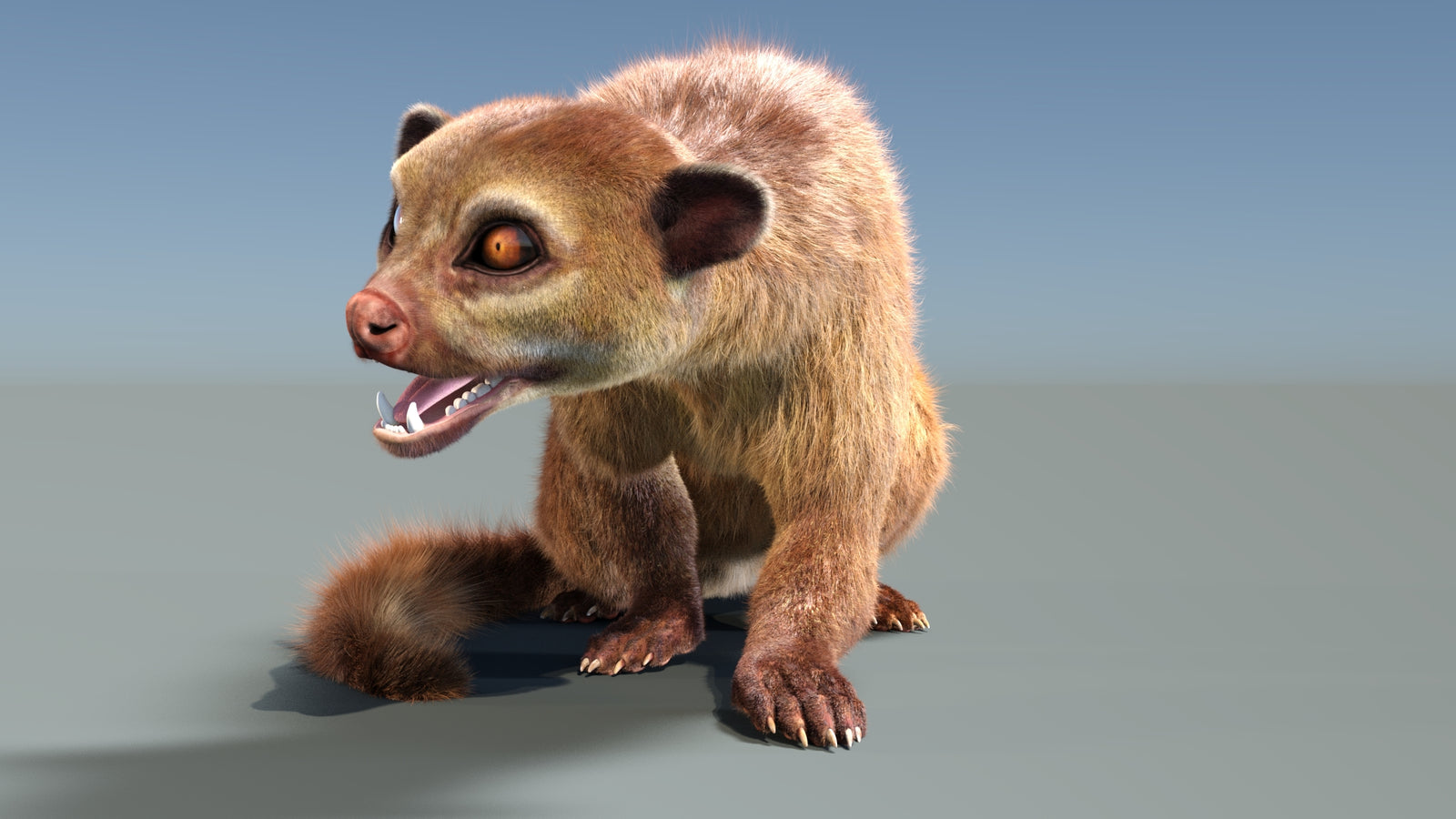 Animated Kinkajou 3D Model Fur 360° view 2 frame 32