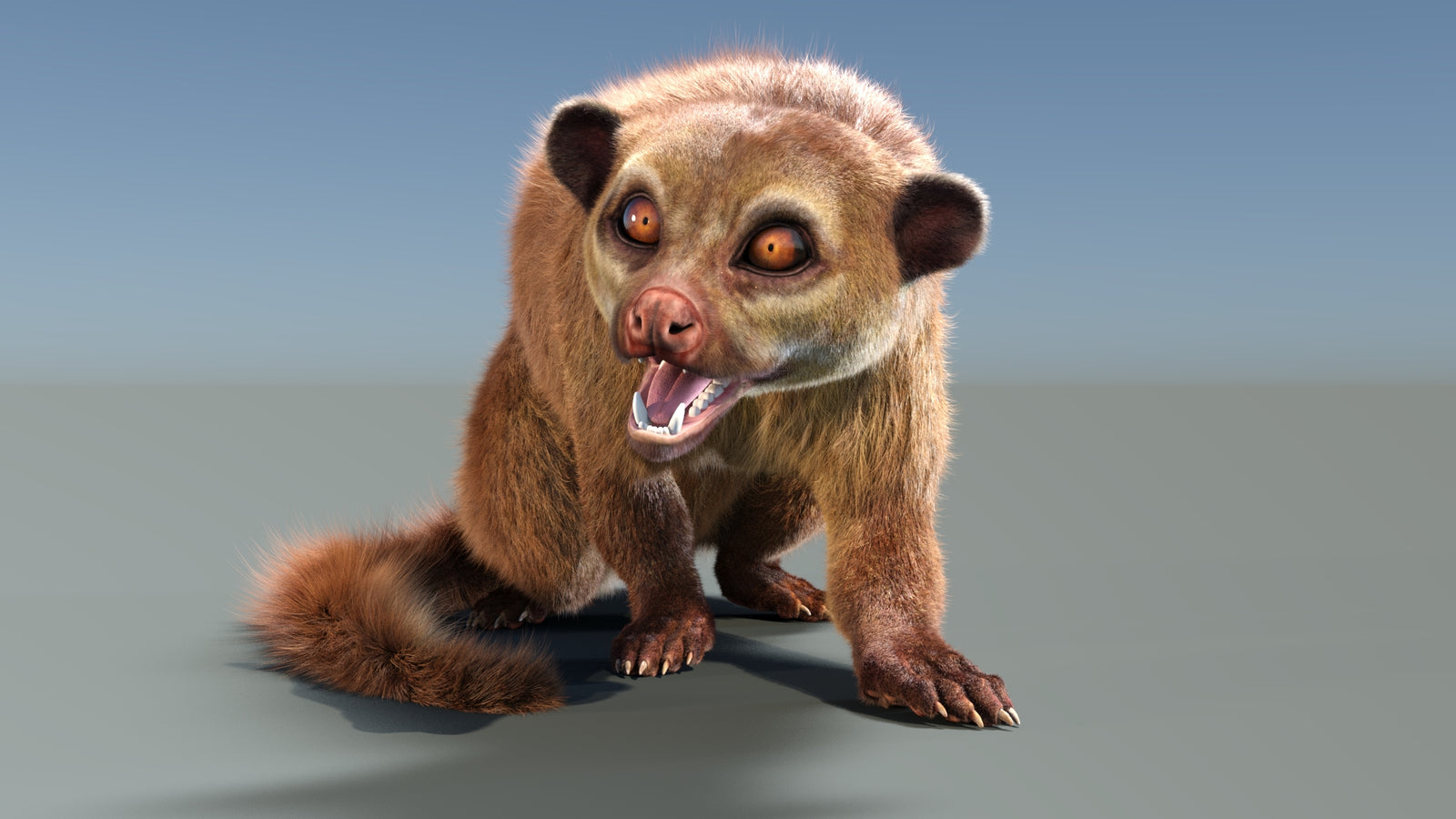 Animated Kinkajou 3D Model Fur 360° view 2 frame 34