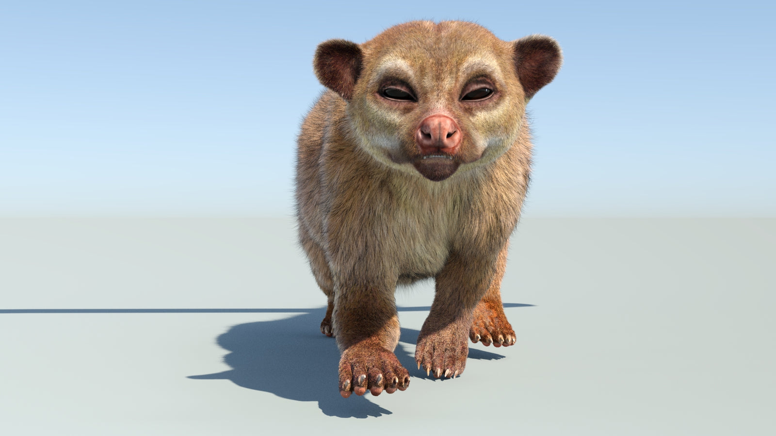 Realistic Kinkajou 3D Model Animated Fur 360° view 4 frame 14