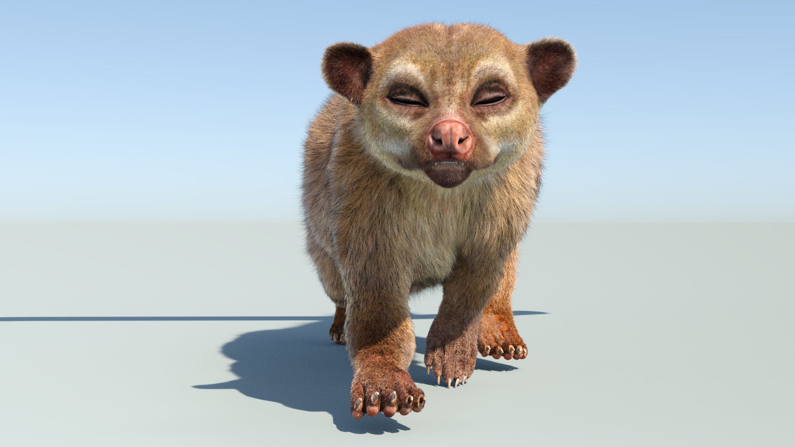Realistic Kinkajou 3D Model Animated Fur 360° view 4 frame 15