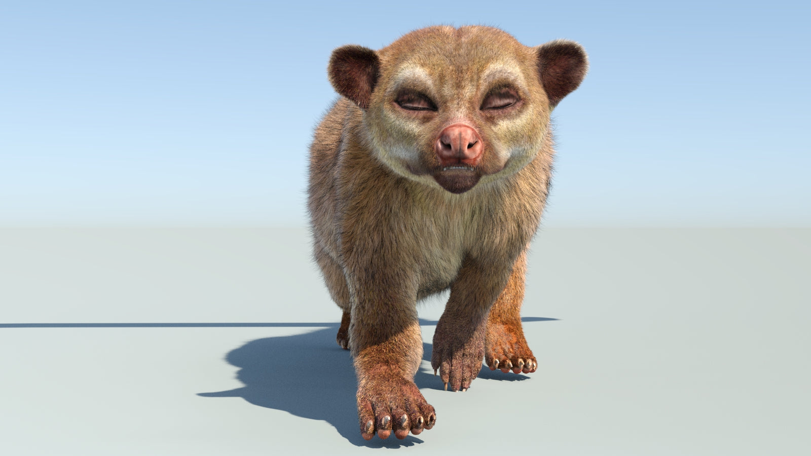 Realistic Kinkajou 3D Model Animated Fur 360° view 4 frame 16