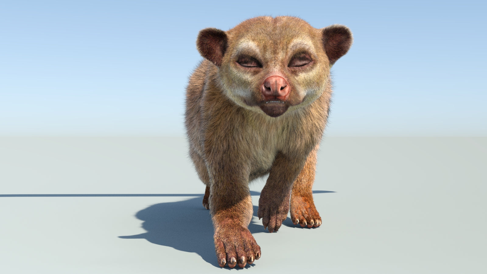 Realistic Kinkajou 3D Model Animated Fur 360° view 4 frame 17