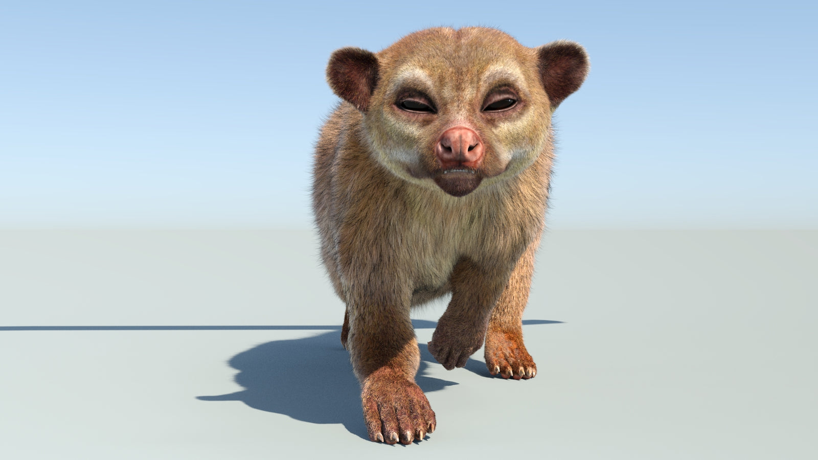 Realistic Kinkajou 3D Model Animated Fur 360° view 4 frame 19