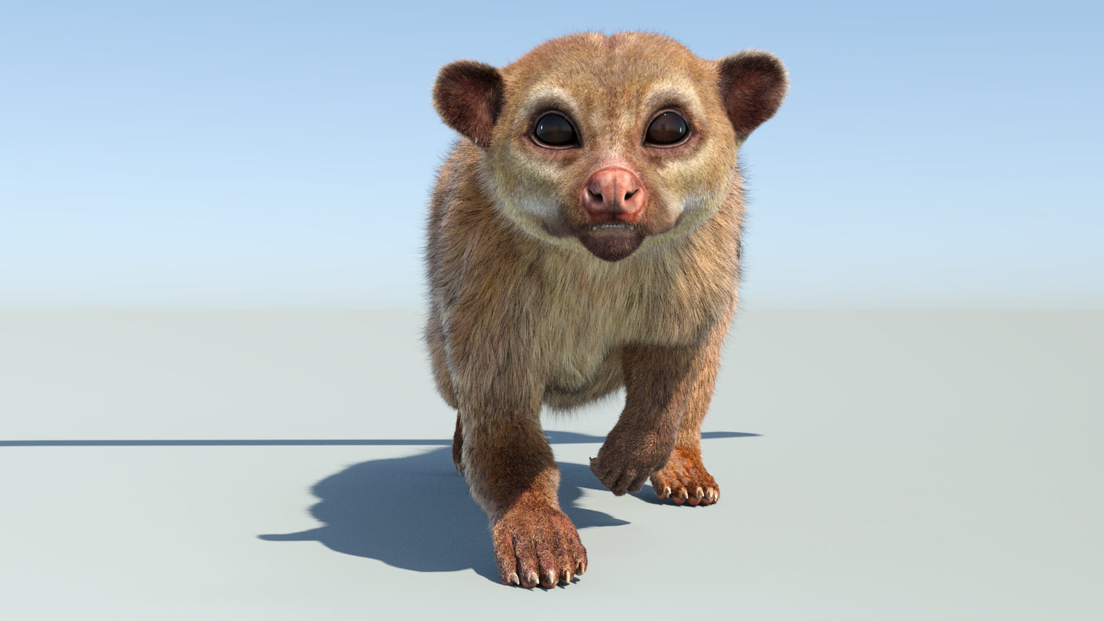 Realistic Kinkajou 3D Model Animated Fur 360° view 4 frame 21