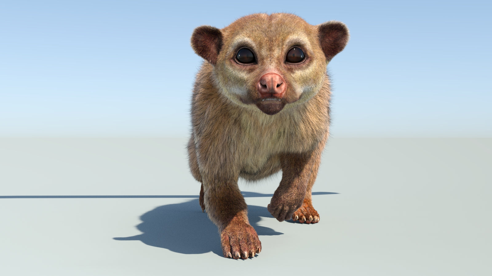 Realistic Kinkajou 3D Model Animated Fur 360° view 4 frame 22