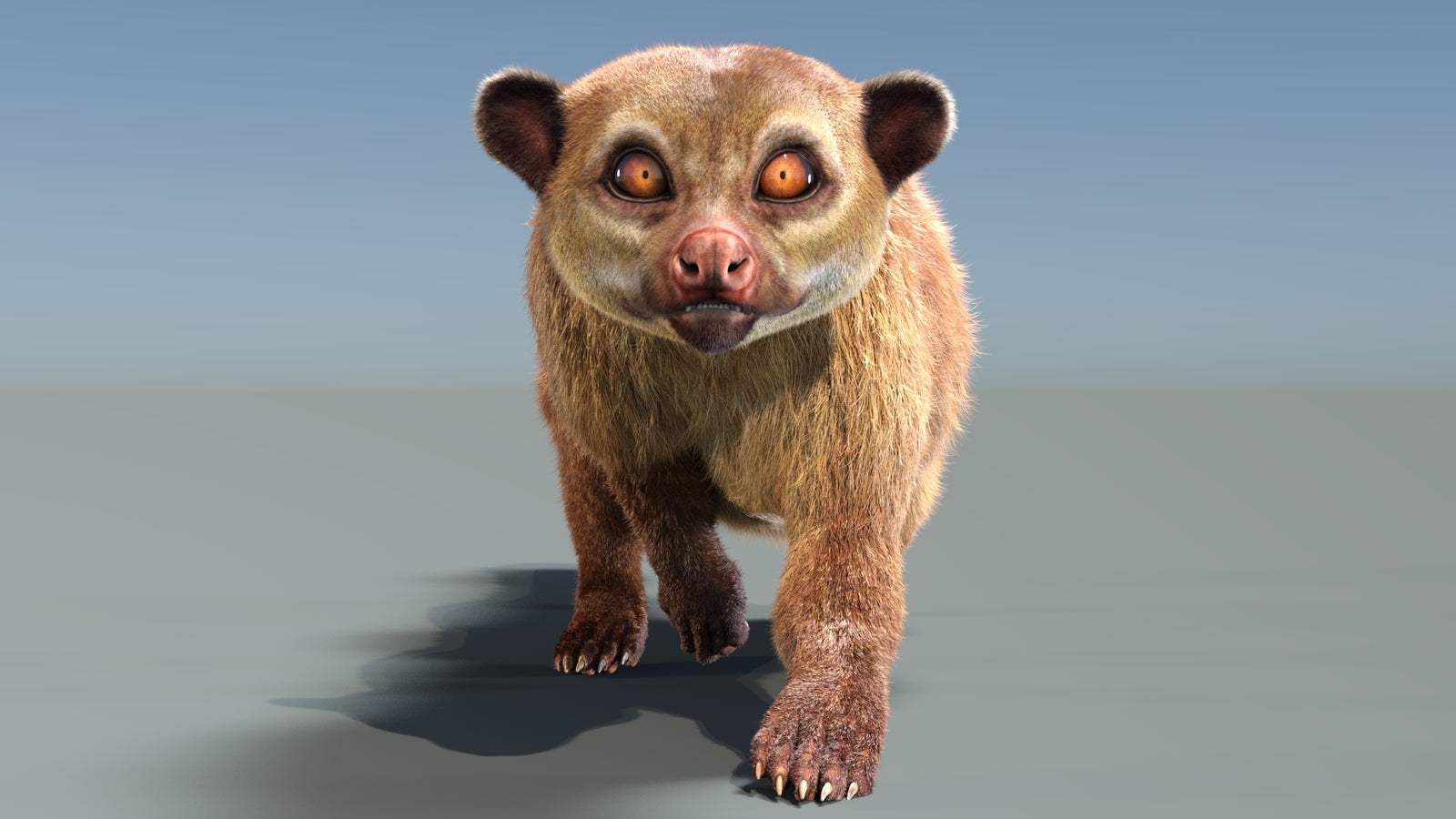 Animated Kinkajou 3D Model Fur 360° view 3 frame 2