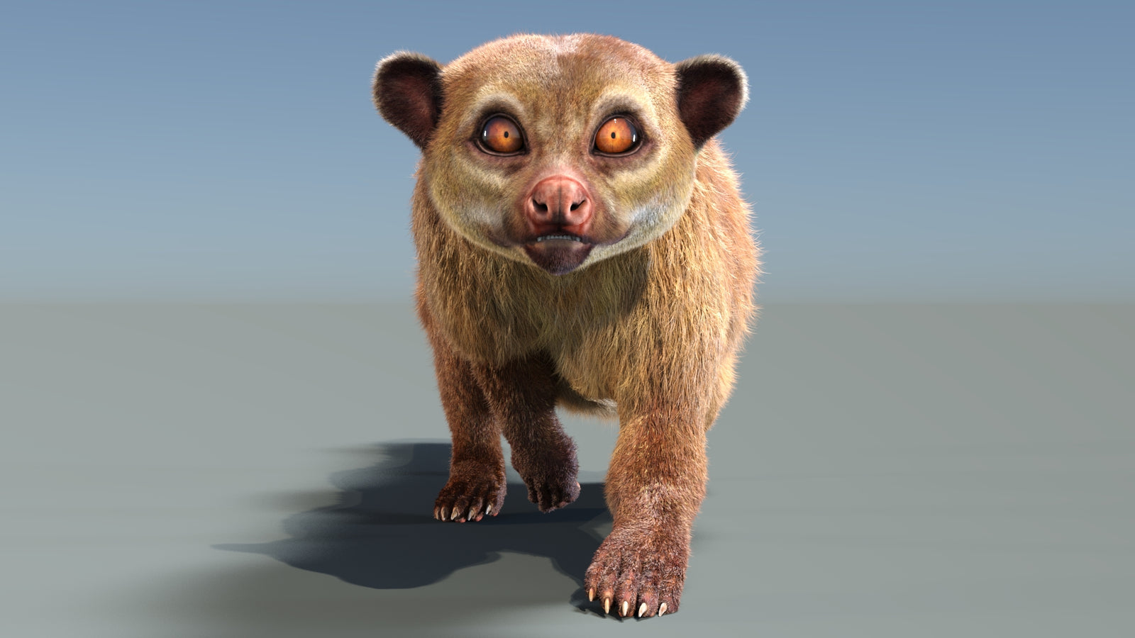 Animated Kinkajou 3D Model Fur 360° view 3 frame 3