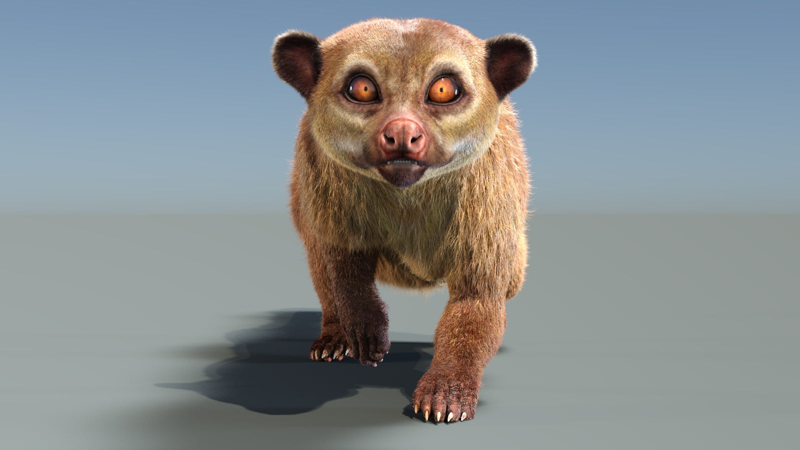 Animated Kinkajou 3D Model Fur 360° view 3 frame 6