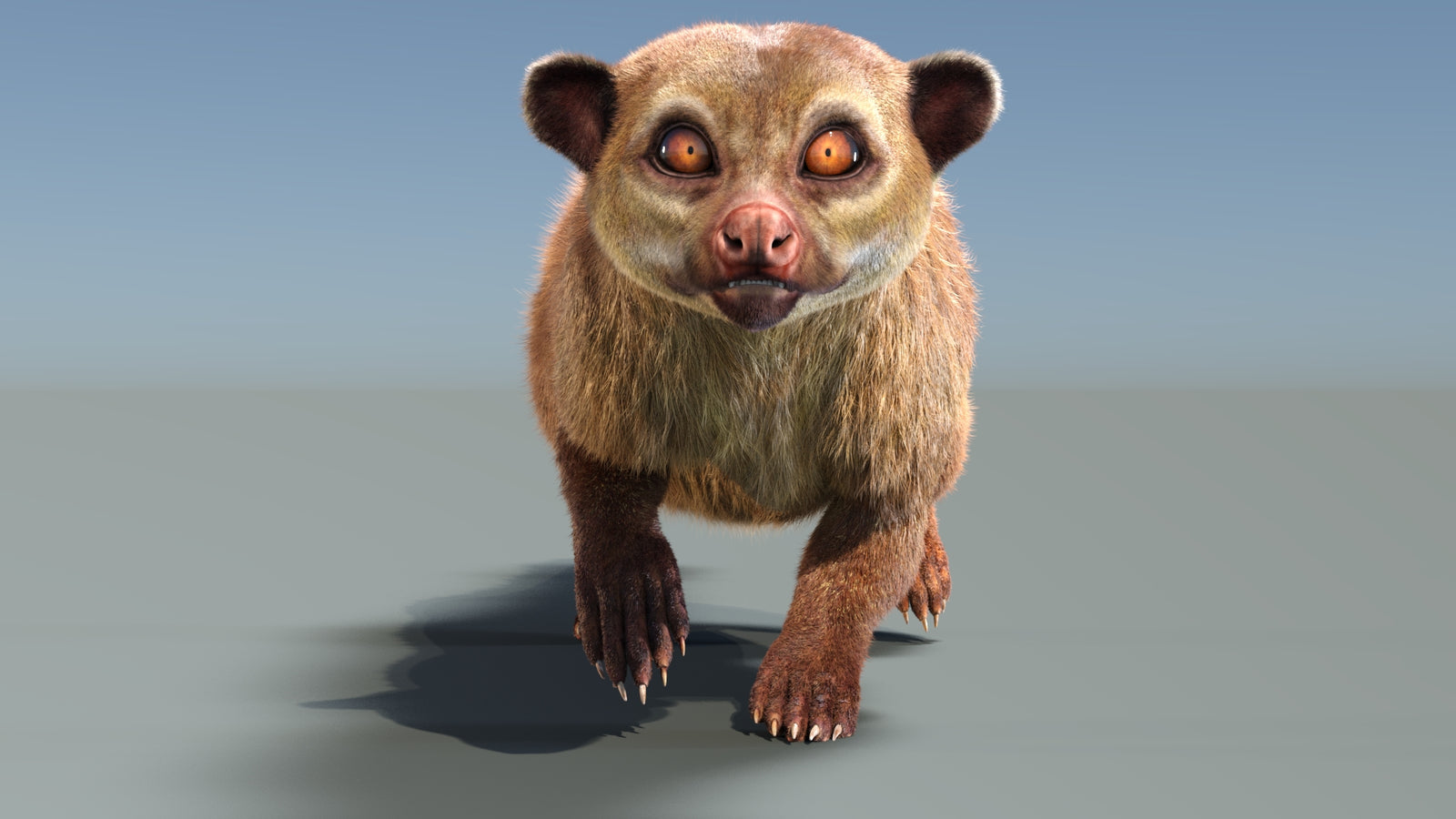Animated Kinkajou 3D Model Fur 360° view 3 frame 10