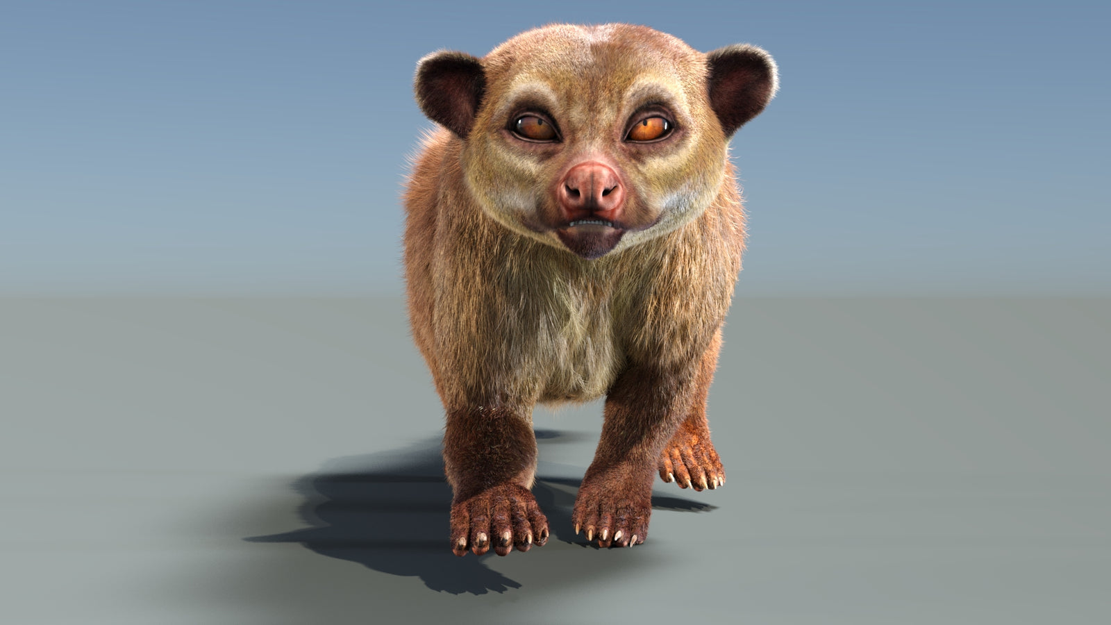 Animated Kinkajou 3D Model Fur 360° view 3 frame 14