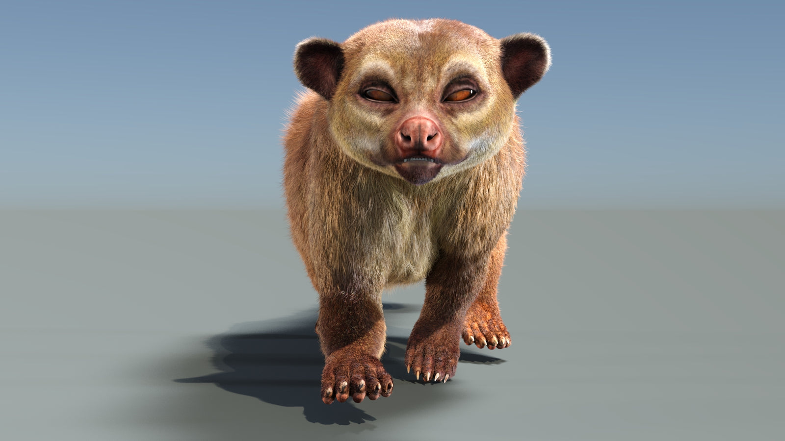 Animated Kinkajou 3D Model Fur 360° view 3 frame 15