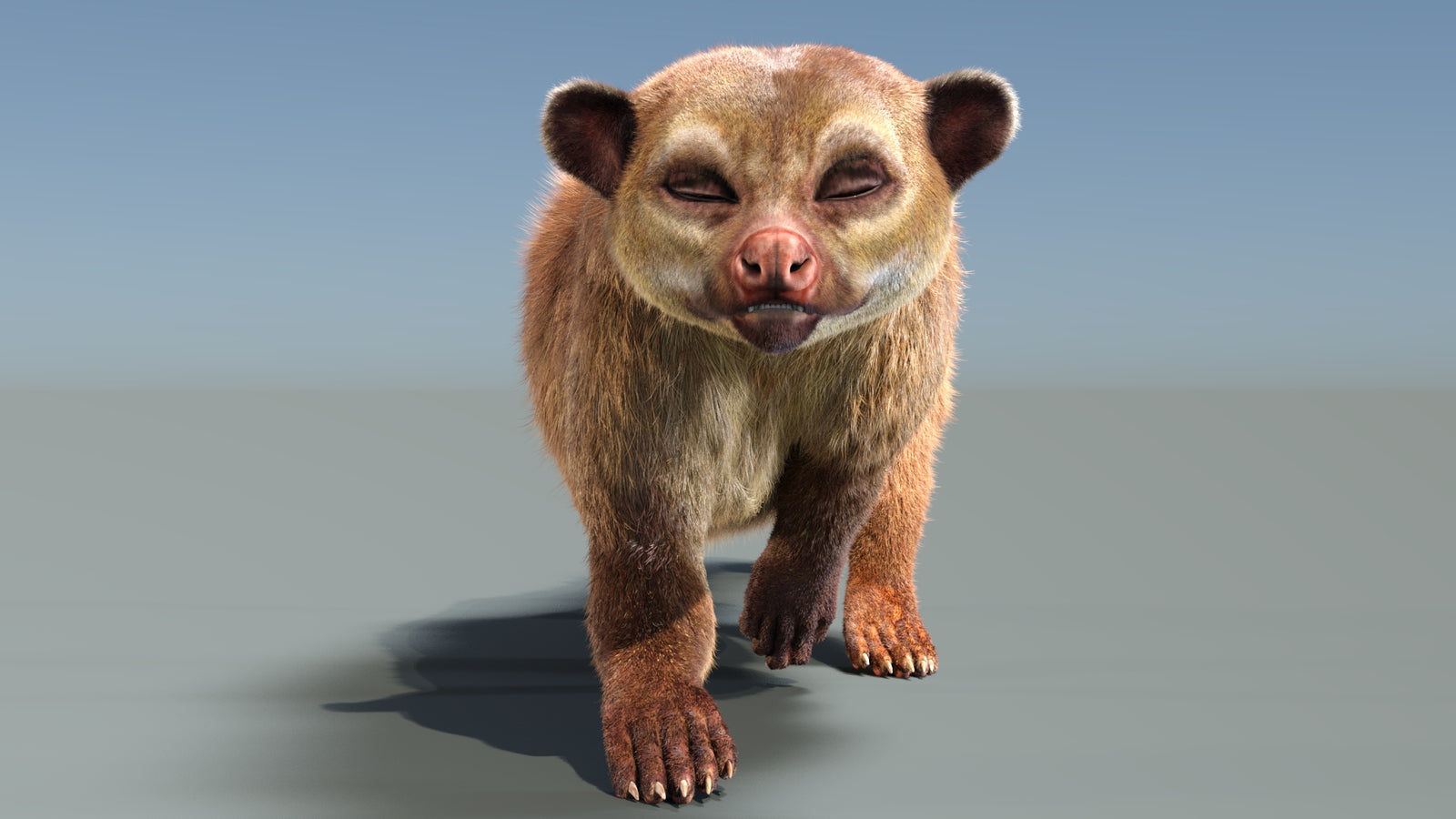 Animated Kinkajou 3D Model Fur 360° view 3 frame 19