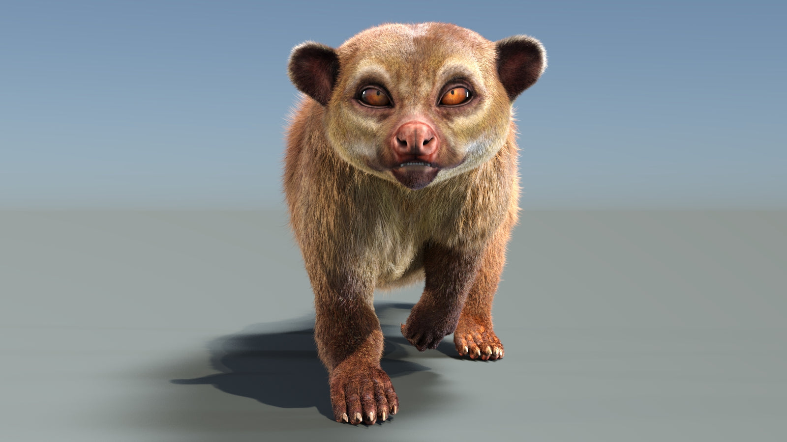 Animated Kinkajou 3D Model Fur 360° view 3 frame 21