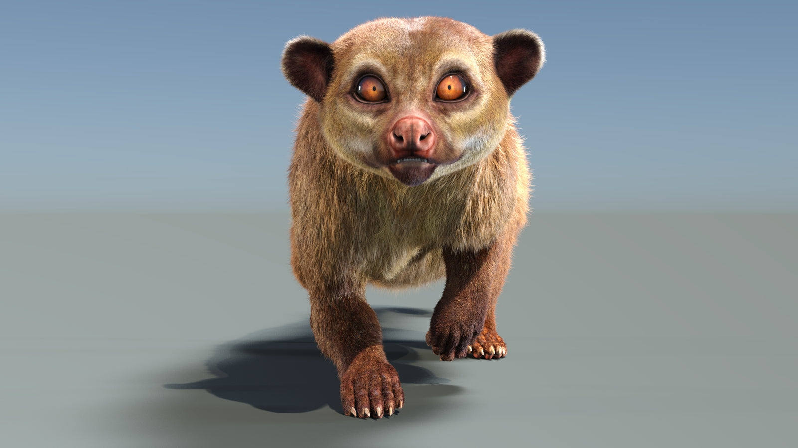 Animated Kinkajou 3D Model Fur 360° view 3 frame 24