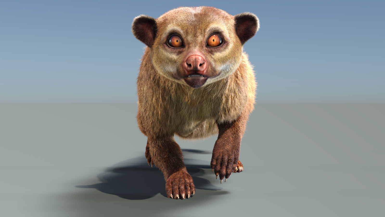 Animated Kinkajou 3D Model Fur 360° view 3 frame 26