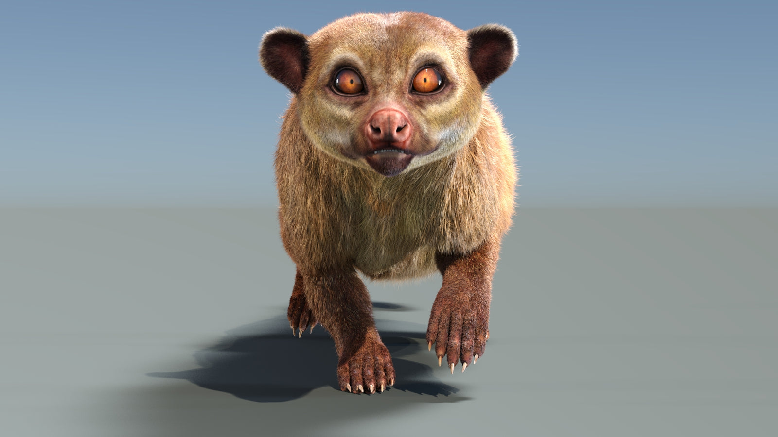 Animated Kinkajou 3D Model Fur 360° view 3 frame 28