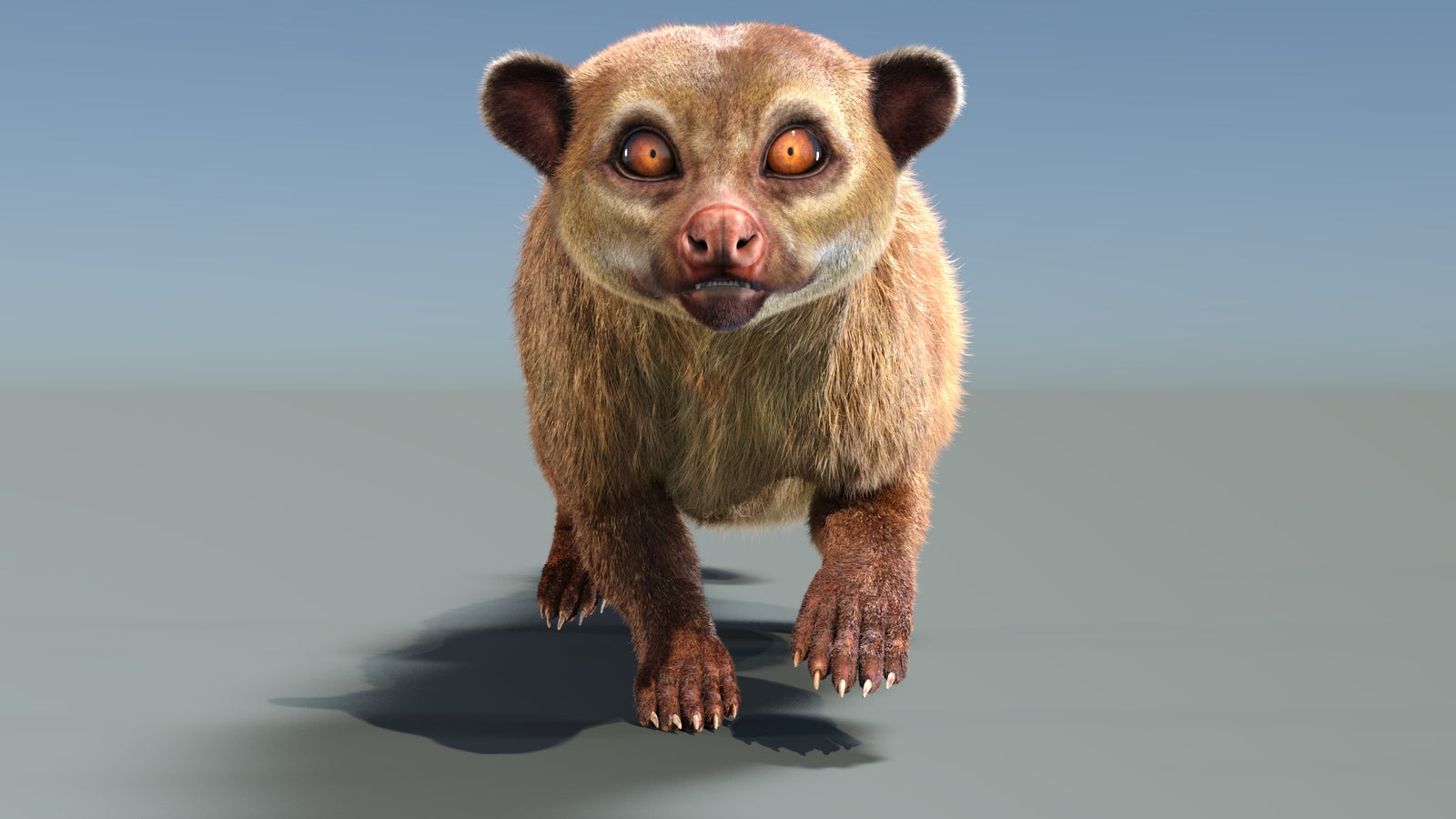 Animated Kinkajou 3D Model Fur 360° view 3 frame 29