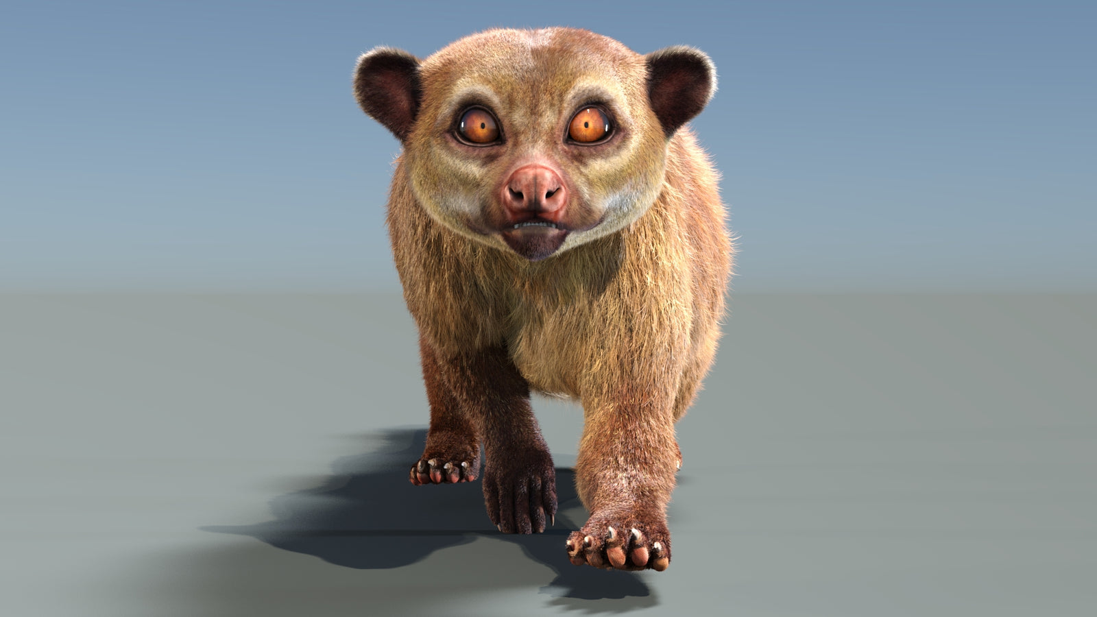 Animated Kinkajou 3D Model Fur 360° view 3 frame 33