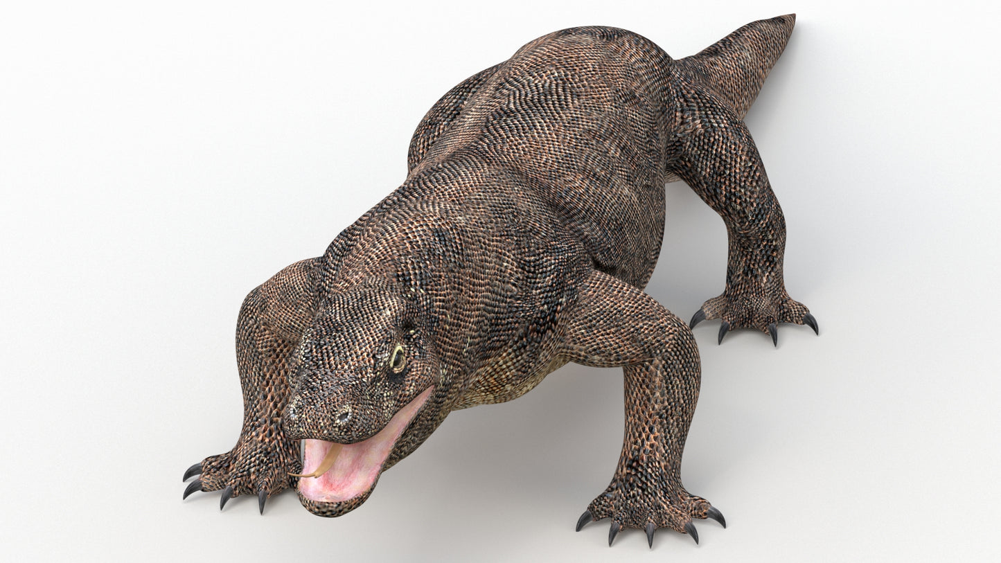 Komodo Dragon 3D Model
