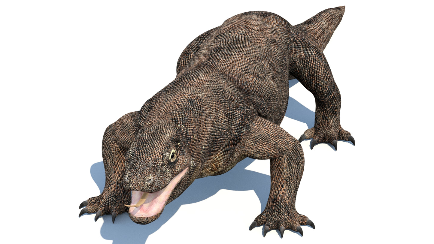 Komodo Dragon 3D Model