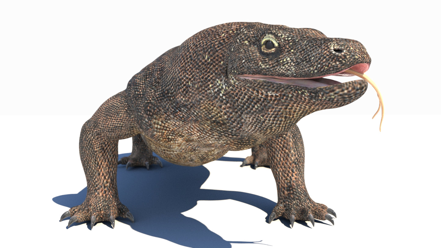 Komodo Dragon 3D Model Rigged