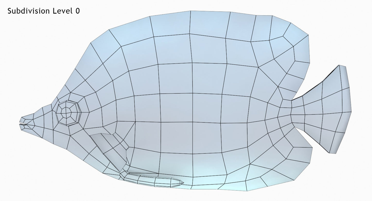 Latticed Butterfly Fish 3D Model