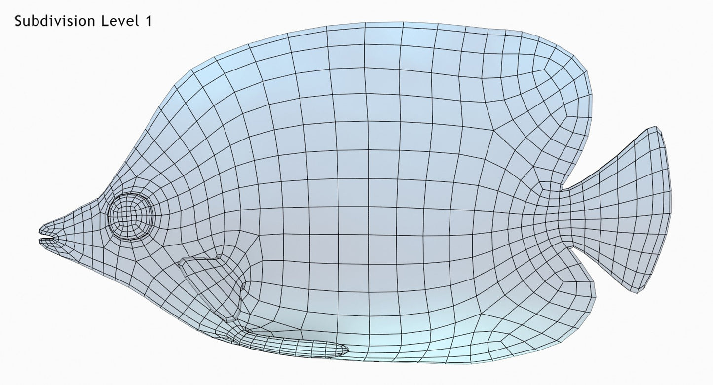 Latticed Butterfly Fish 3D Model