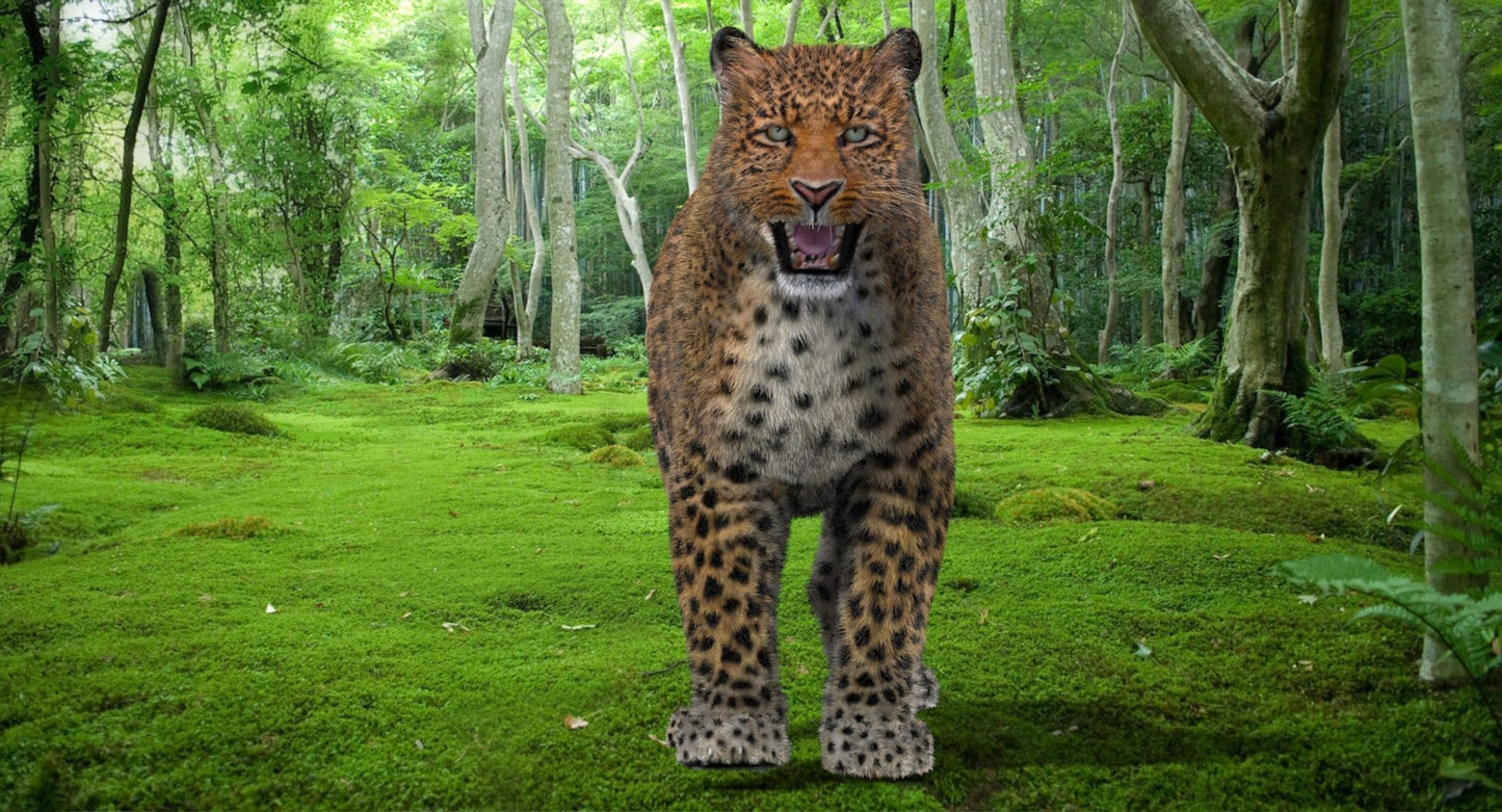 Leopard Animated Fur 3D Model