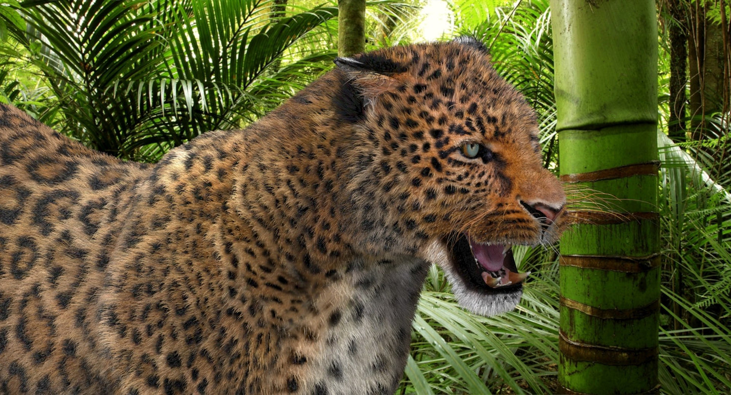 Leopard Animated Fur 3D Model
