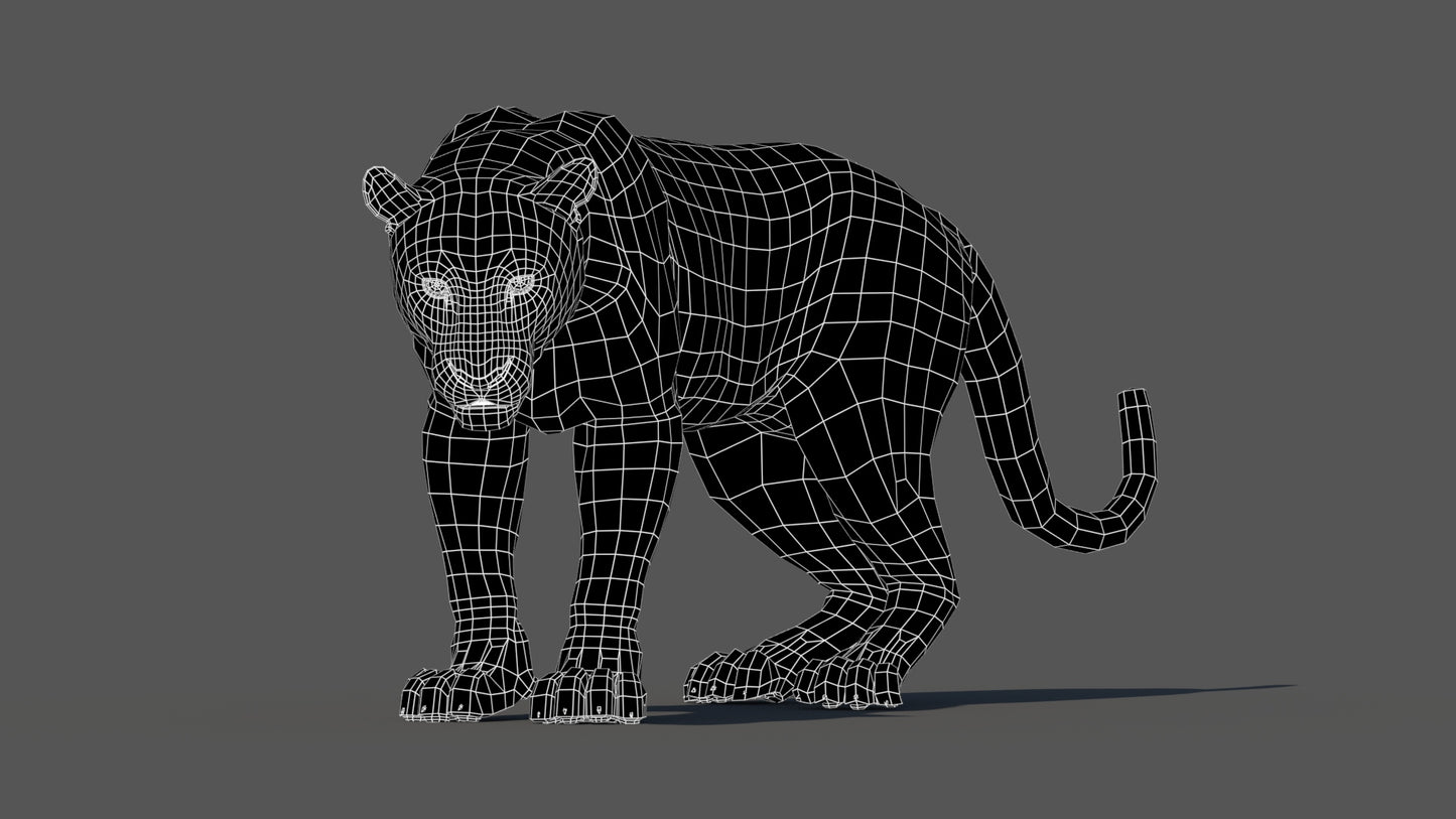 Leopard Animated Fur 3D Model