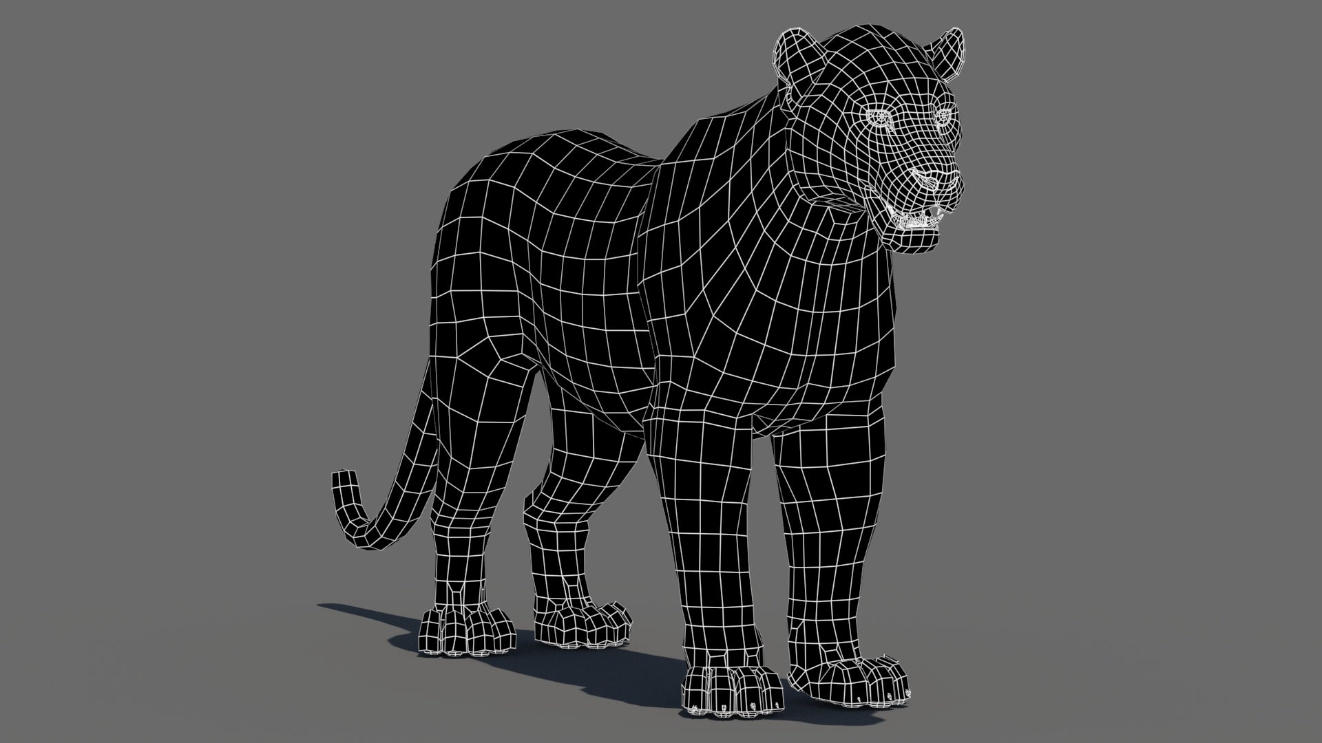 Realistic Leopard 3D Model Wireframe View Subdivision Level 0