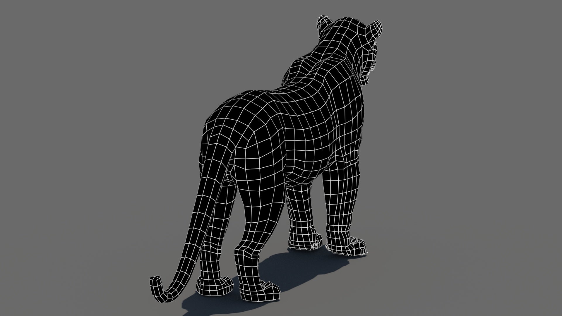 Realistic Leopard 3D Model Wireframe View Subdivision Level 0