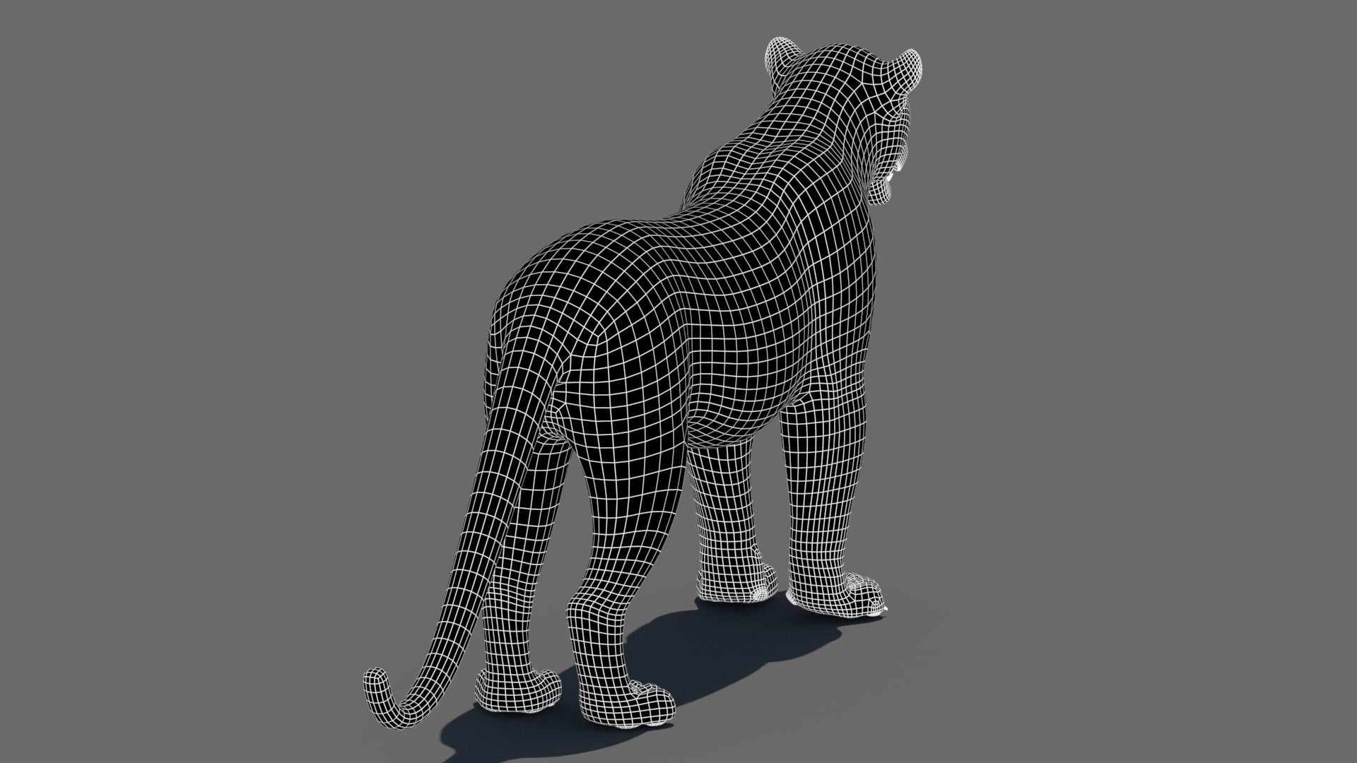 Realistic Leopard 3D Model Wireframe View Subdivision Level 1