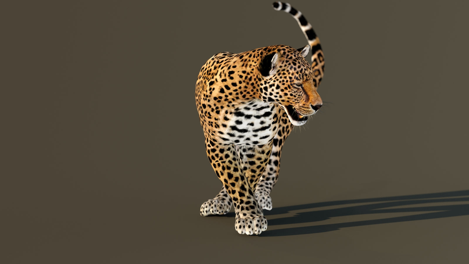 Leopard 3D Model Animated 360° view 4 frame 23
