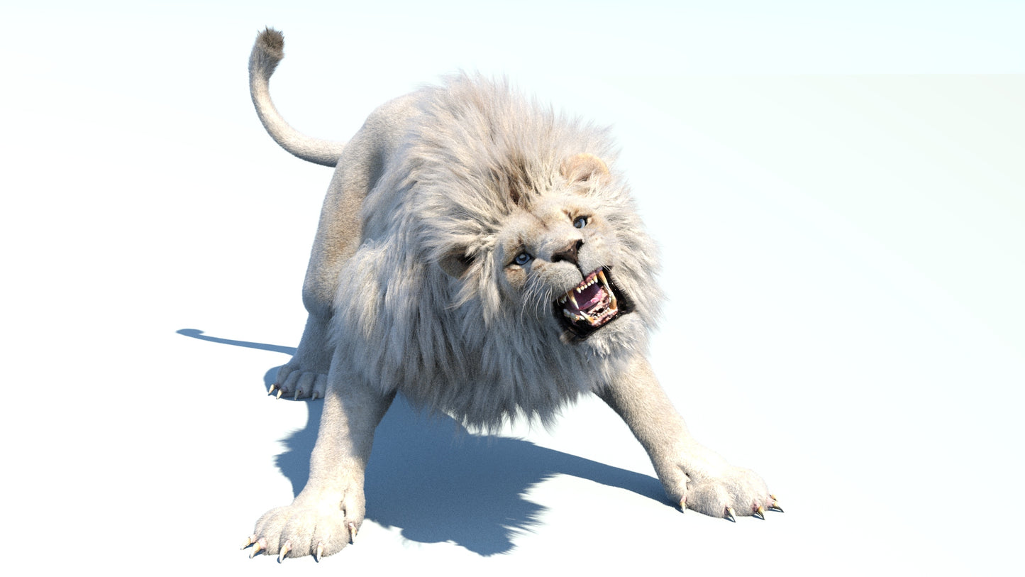 Lion Animated 3D Model Fur Two colors