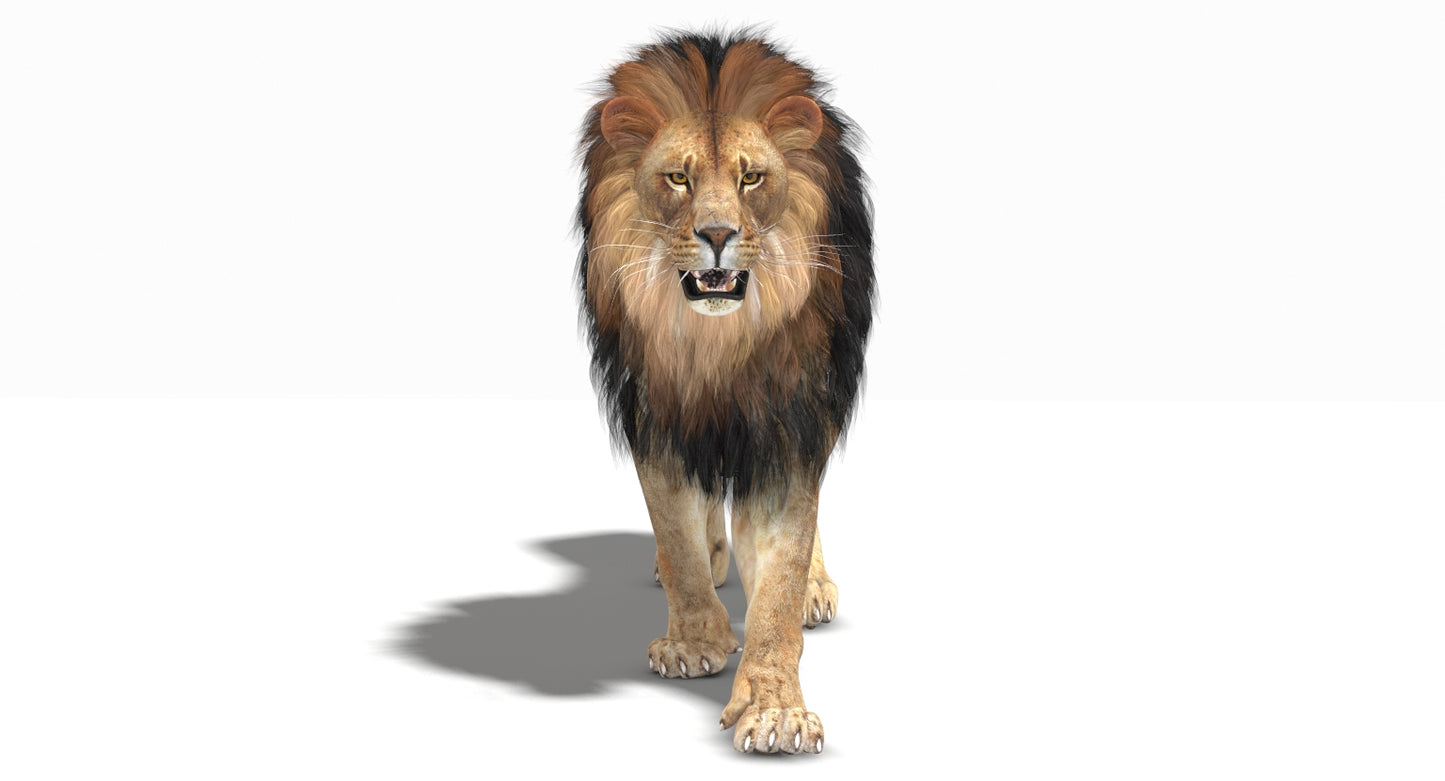 Realistic Lion 3D Model for Download
