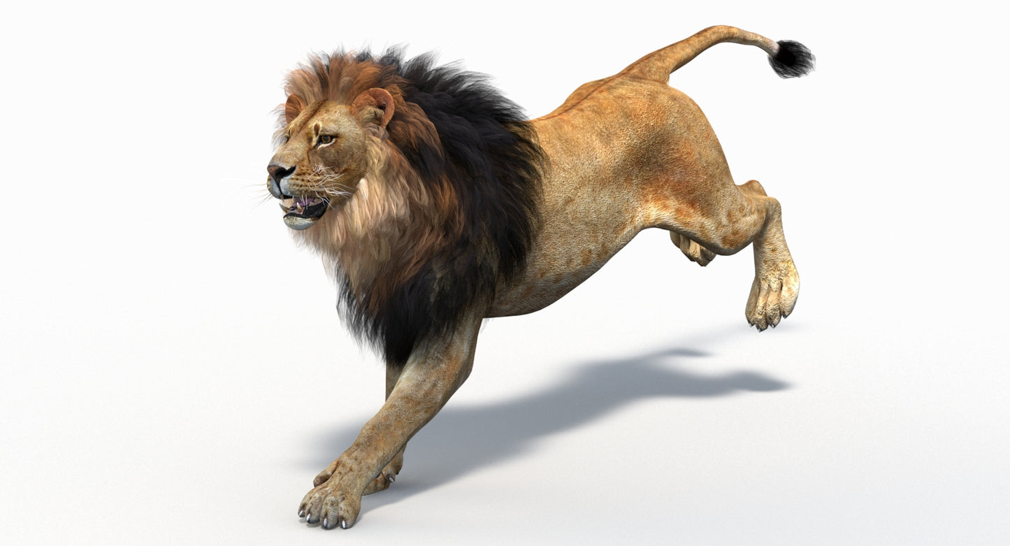 Running lion 3d model for purchase and download